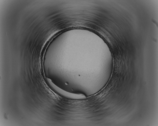 X0000097881076200803281218