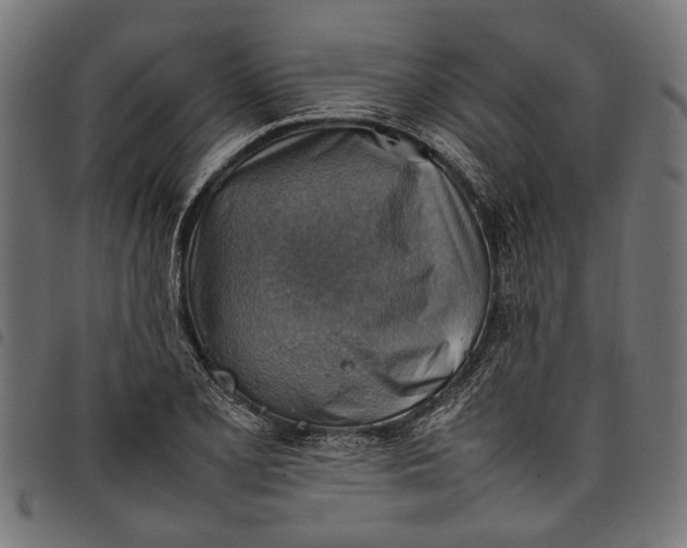 X0000097881077200803281218