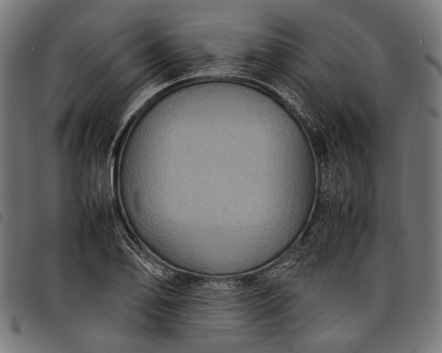 X0000097881078200803281218