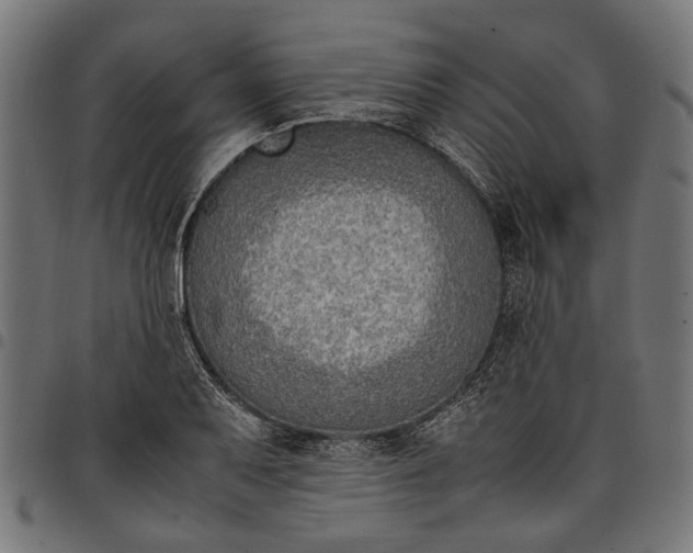 X0000097881079200803281218