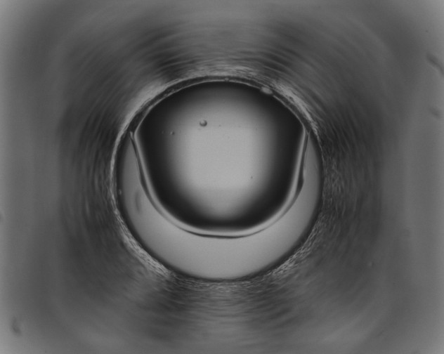 X0000097881080200803281218