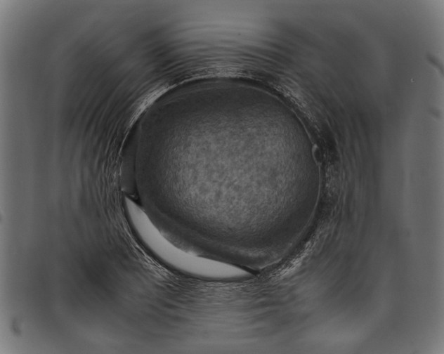 X0000097881081200803281218