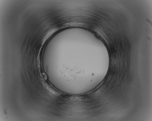 X0000097881082200803281218