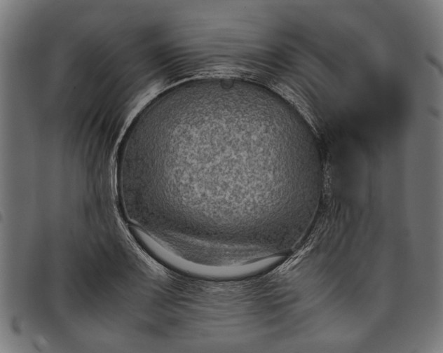 X0000097881083200803281218