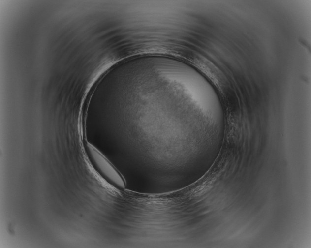 X0000097881084200803281218