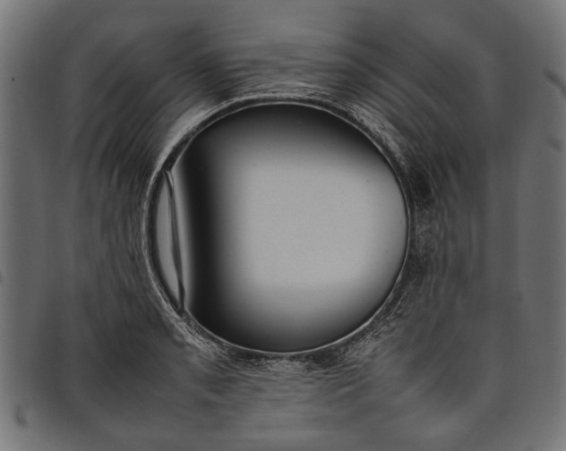 X0000097881085200803281218