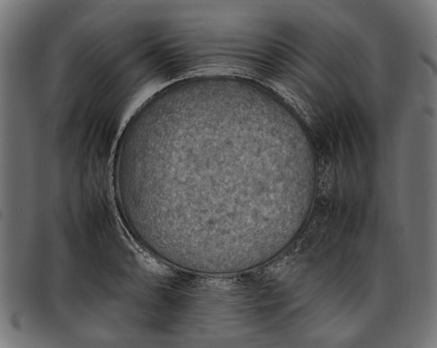 X0000097881086200803281218