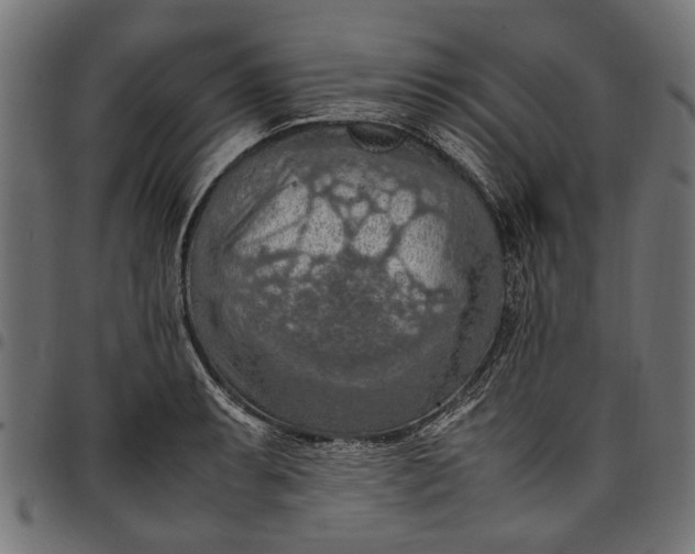 X0000097881087200803281218