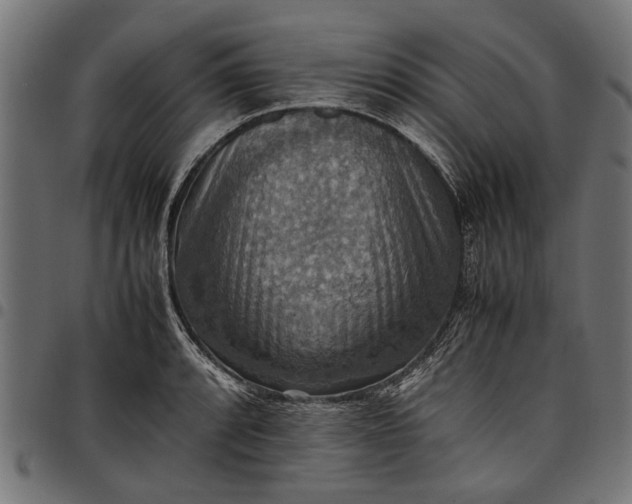 X0000097881088200803281218