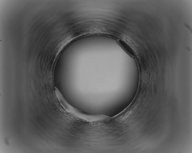 X0000097881089200803281218