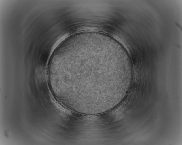 X0000097881090200803281218