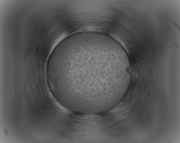 X0000097881091200803281218