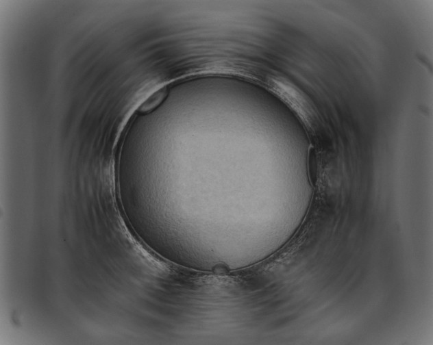 X0000097881092200803281218