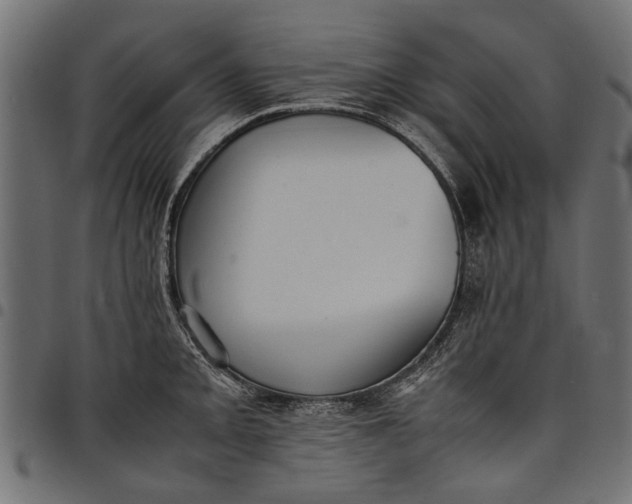 X0000097881093200803281218