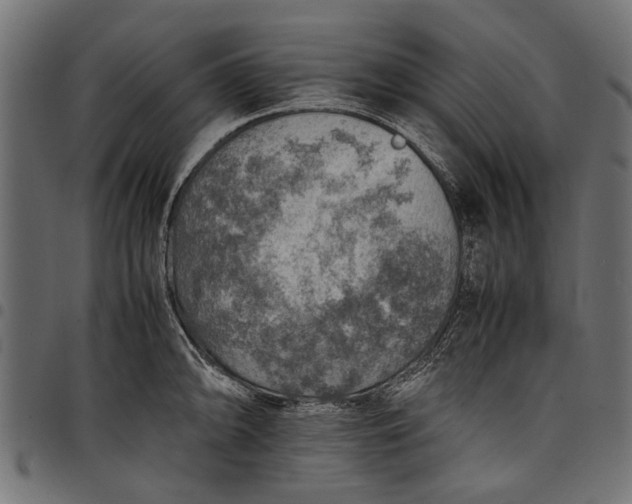 X0000097881094200803281218