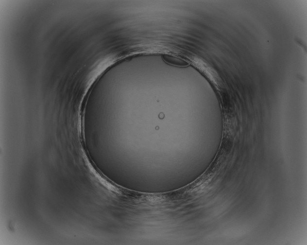 X0000097881095200803281218