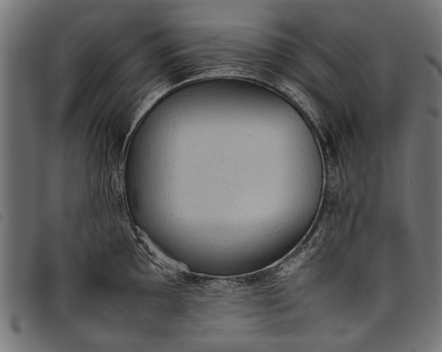 X0000097881097200803281218