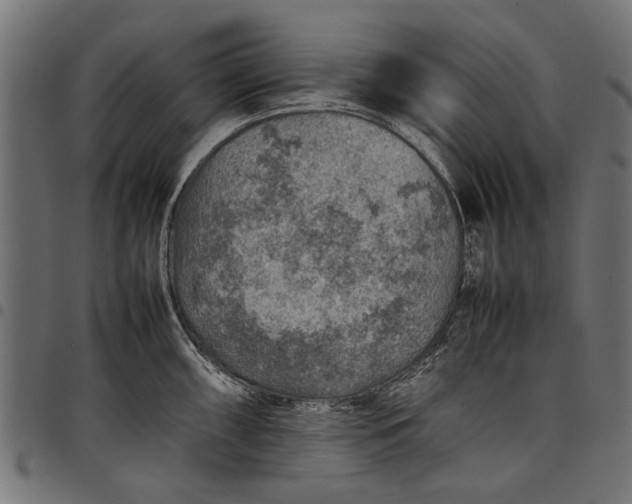 X0000097881098200803281218