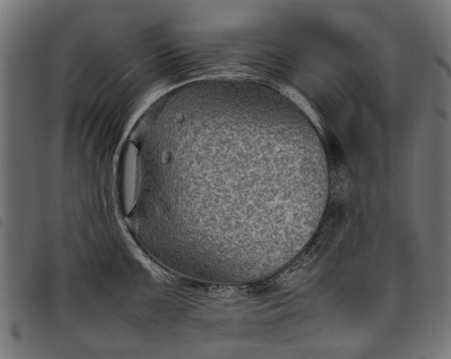 X0000097881099200803281218