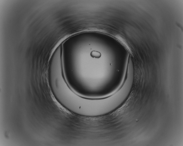 X0000097881100200803281218