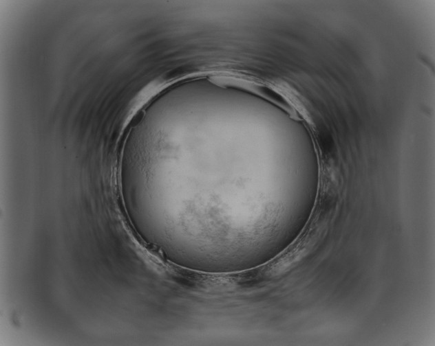 X0000097881101200803281218