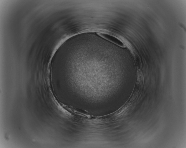 X0000097881102200803281218