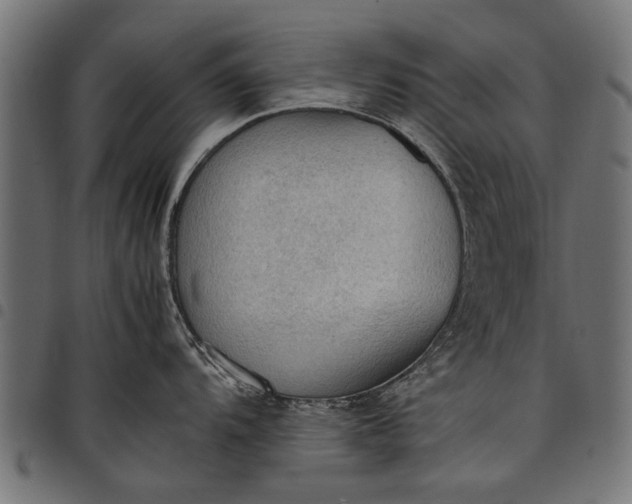 X0000097881104200803281218