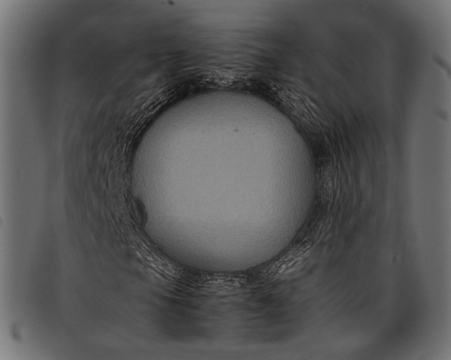 X0000097881105200803281217