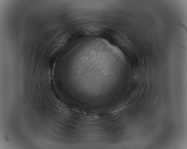 X0000097881108200803281217