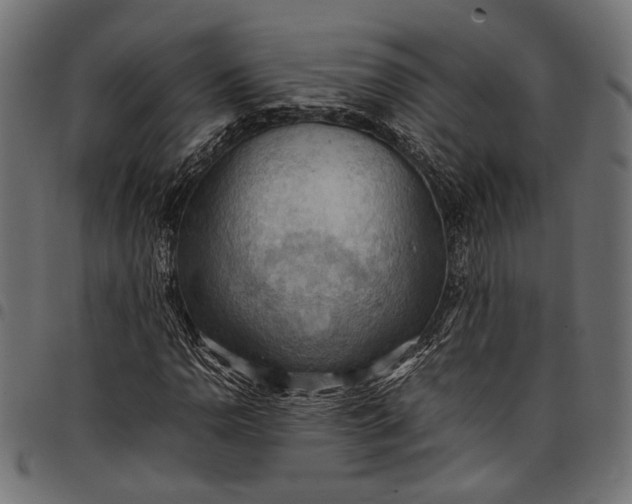 X0000097881110200803281217