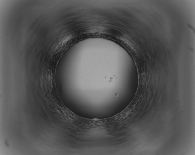 X0000097881111200803281217