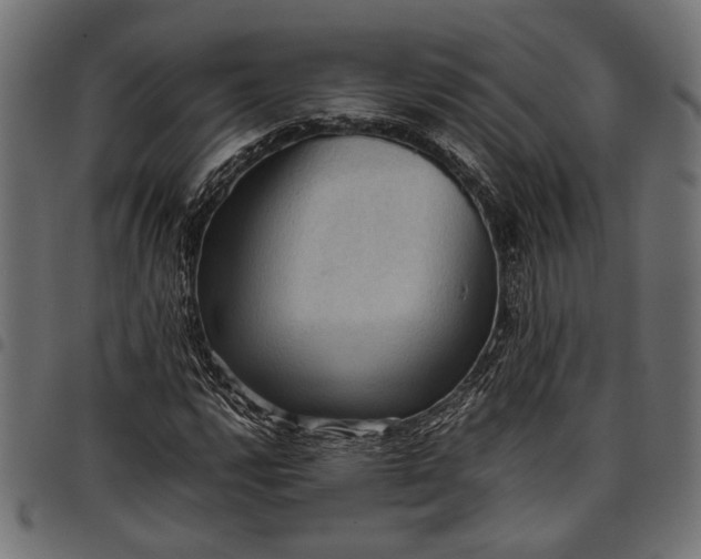 X0000097881112200803281217