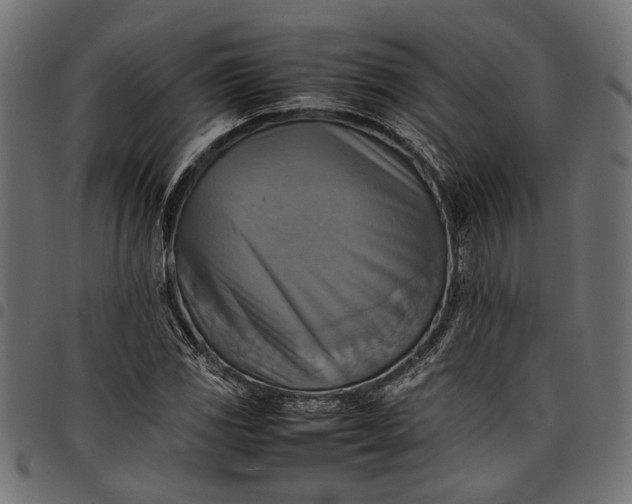 X0000097881117200803281217