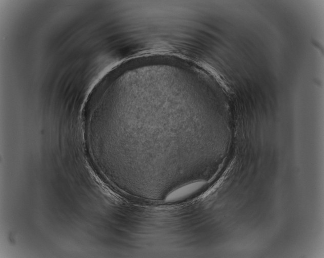 X0000097881118200803281217