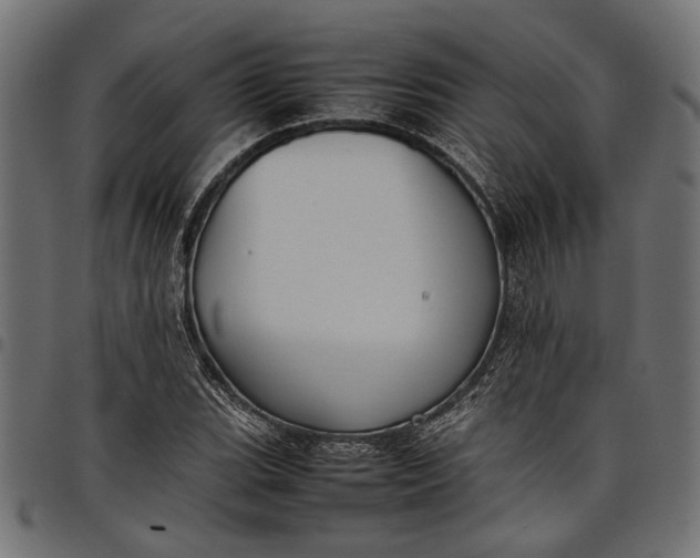 X0000097881119200803281217