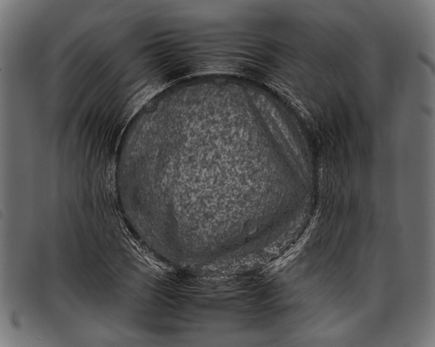 X0000097881121200803281217