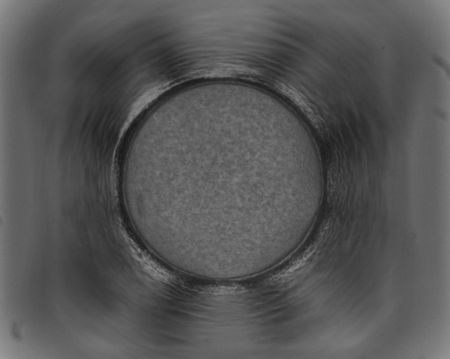 X0000097881122200803281217