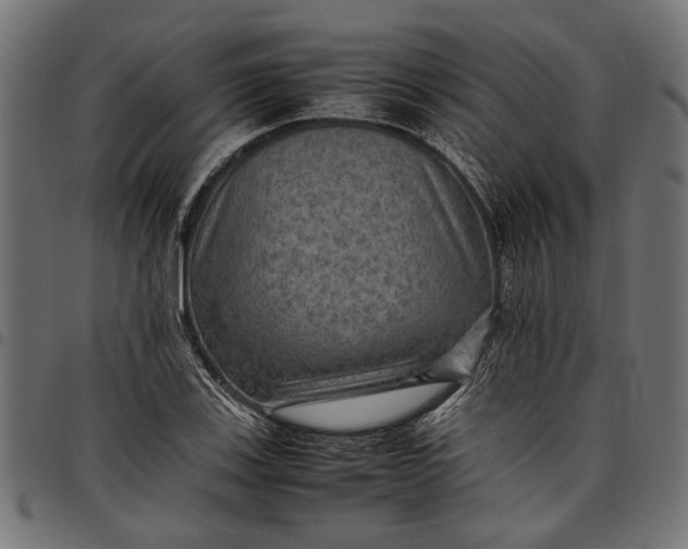 X0000097881123200803281217