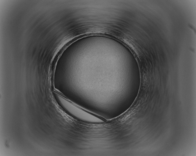 X0000097881124200803281217