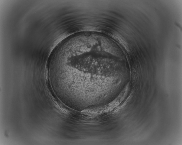 X0000097881125200803281217