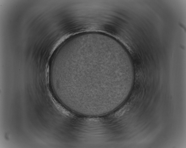 X0000097881126200803281217