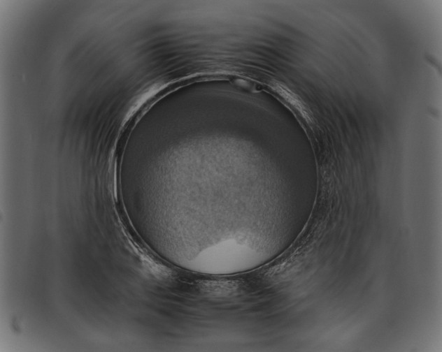 X0000097881127200803281217