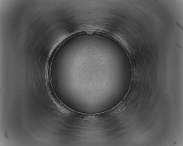 X0000097881128200803281217