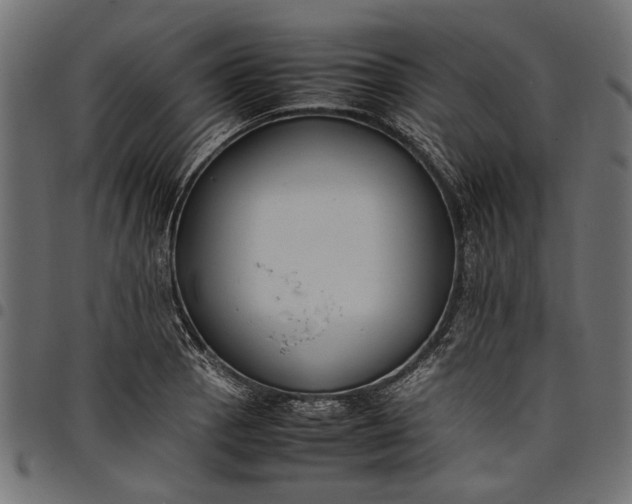 X0000097881129200803281217