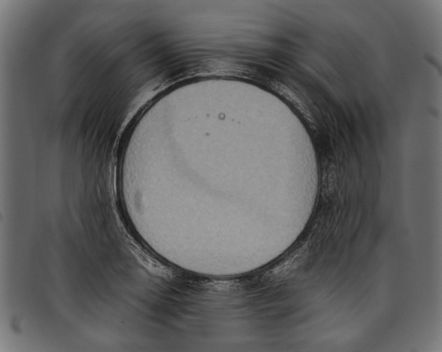 X0000097881130200803281217