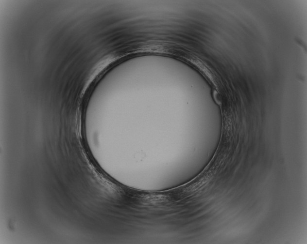 X0000097881131200803281217