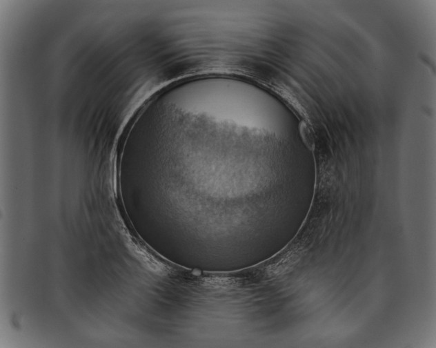 X0000097881132200803281217