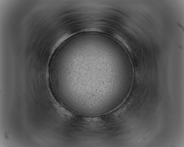 X0000097881133200803281217