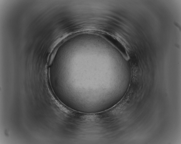 X0000097881134200803281218