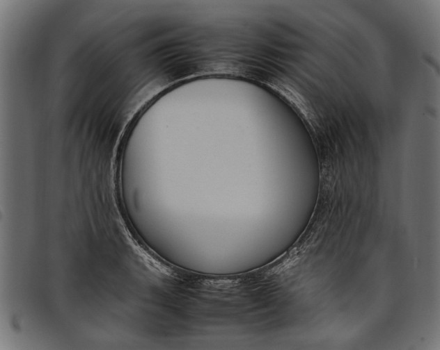 X0000097881135200803281218